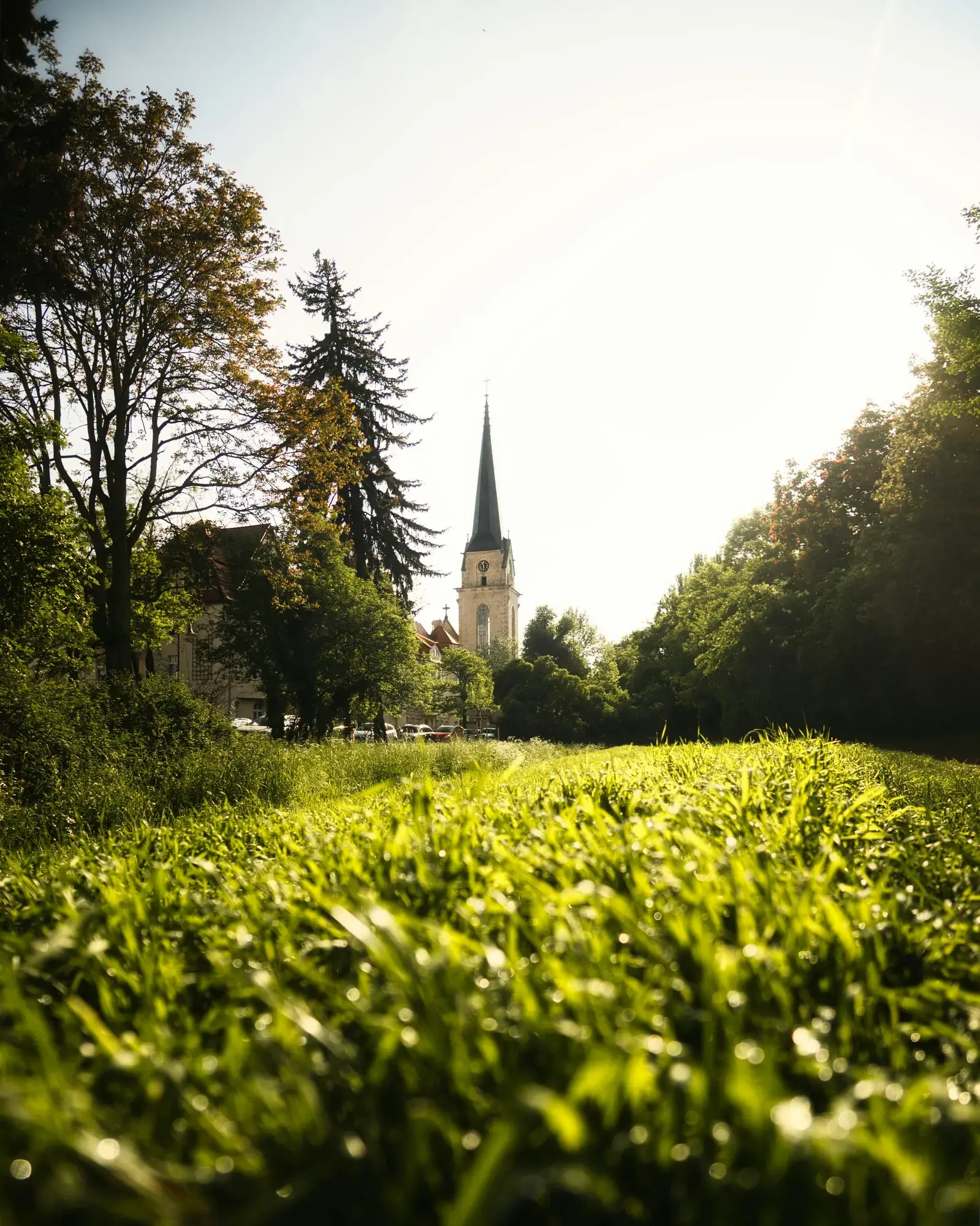 Elbufer und Elbpromenade Magdeburg